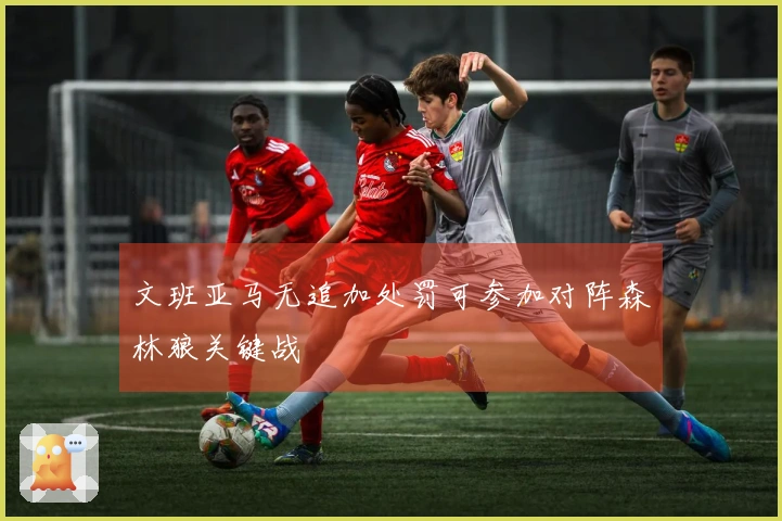 文班亚马无追加处罚可参加对阵森林狼关键战