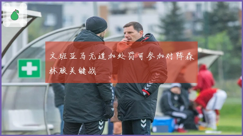 文班亚马无追加处罚可参加对阵森林狼关键战